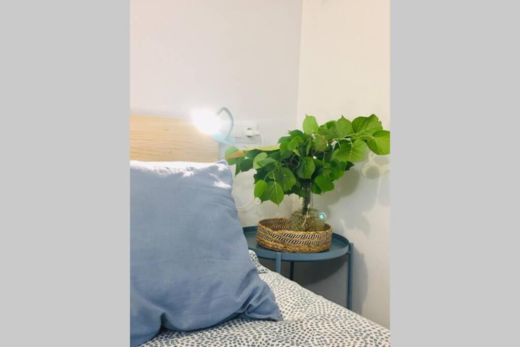 Apartamento Centro Catedral Botanico Apartment Granada Bagian luar foto